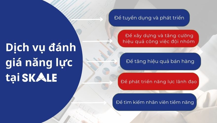 Ứng dụng các gói đánh giá năng lực tại SKALE